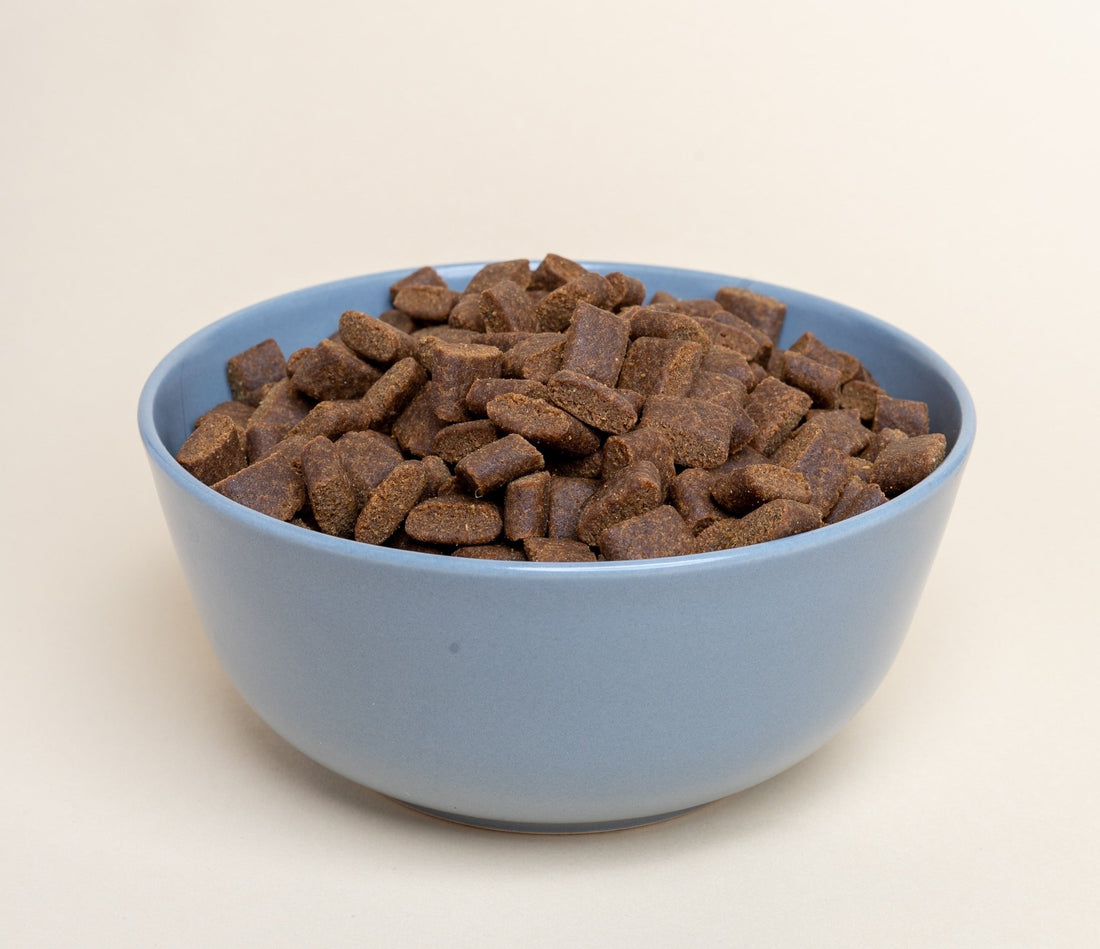 Homemade Dog Kibble Recipe: A Healthy and Nutritious Treat! - Wagr Petcare