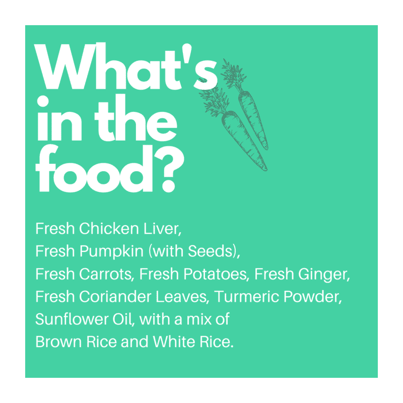 Doggos Big Monster pack (pack of 5)