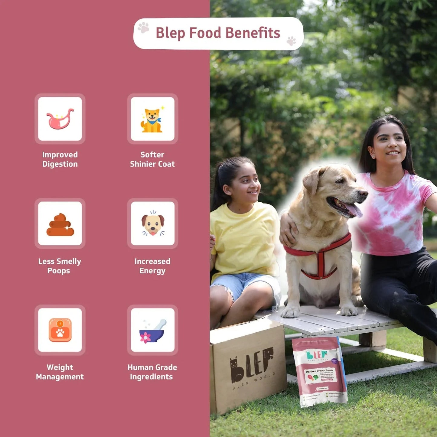 BLEP Chicken Brocco Pawer for Dogs - Wagr Petcare