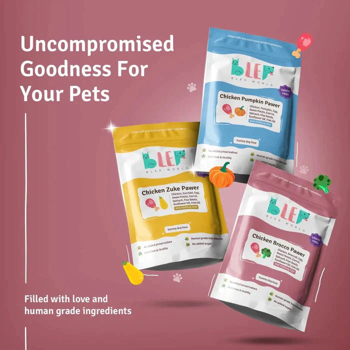 BLEP Chicken Pumpkin & Brocco Dog Food Combo Pack (2 packs of 300g) - Wagr Petcare