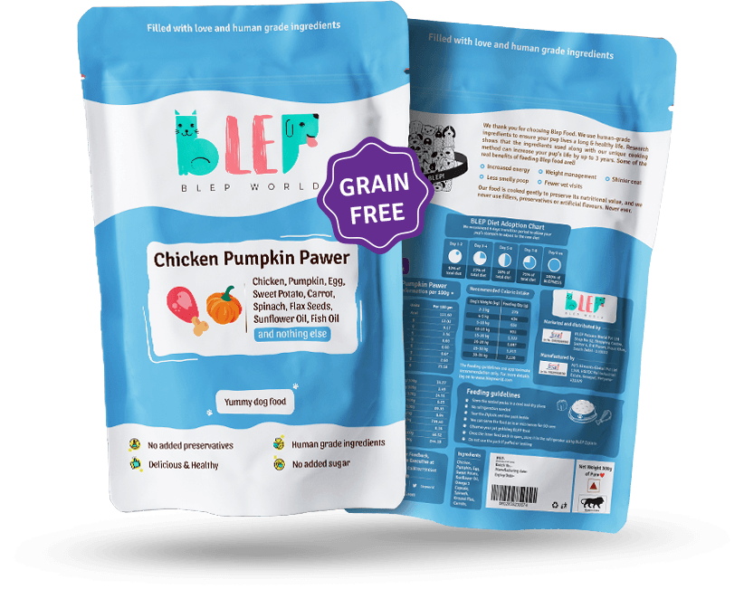 BLEP Chicken Pumpkin Pawer for Dogs - Wagr Petcare