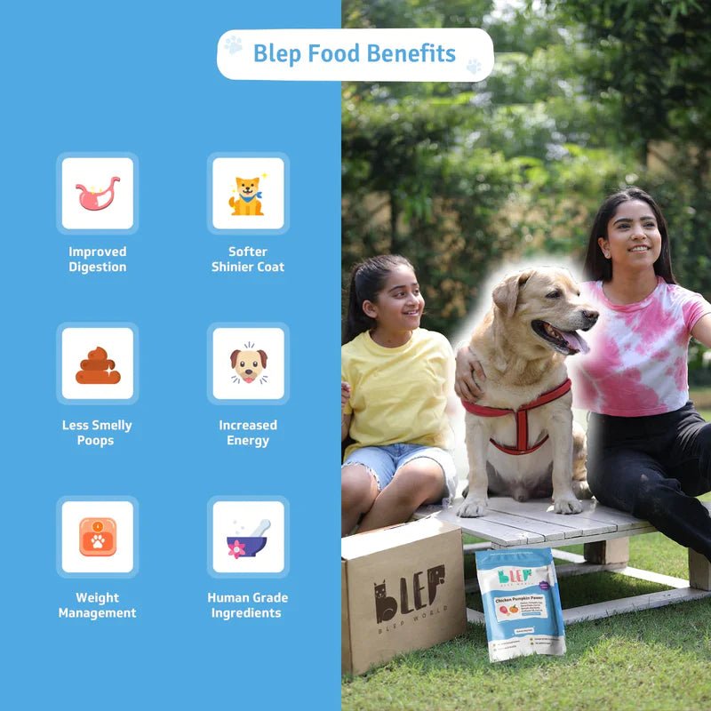 BLEP Chicken Pumpkin Pawer for Dogs - Wagr Petcare