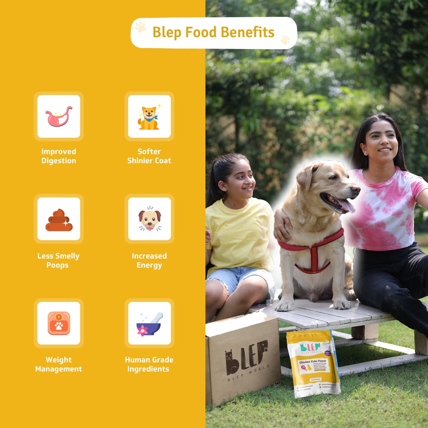 BLEP Chicken Zuke Pawer for Dogs - Wagr Petcare