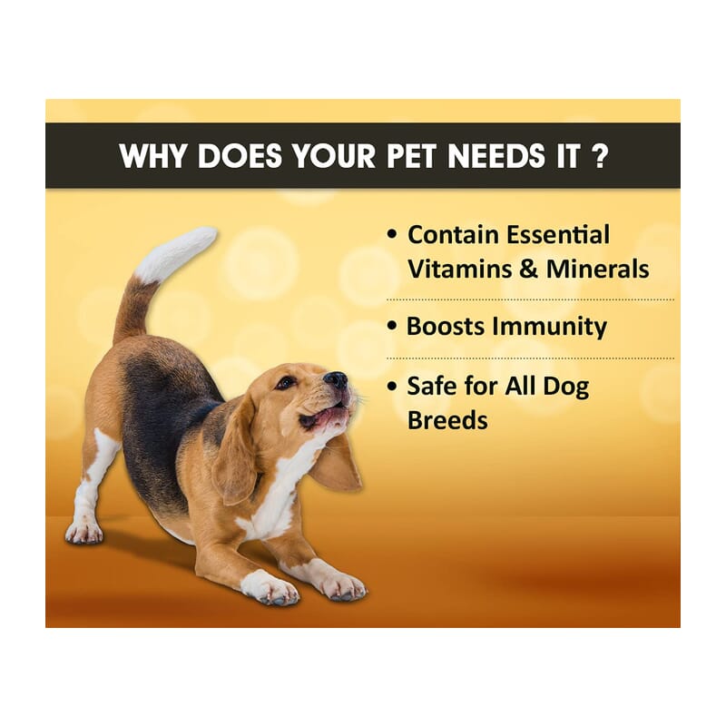 Boltz Chewable Multivitamin Tablets for Dogs, 60 Tablets - Wagr - The Smart Petcare Platform