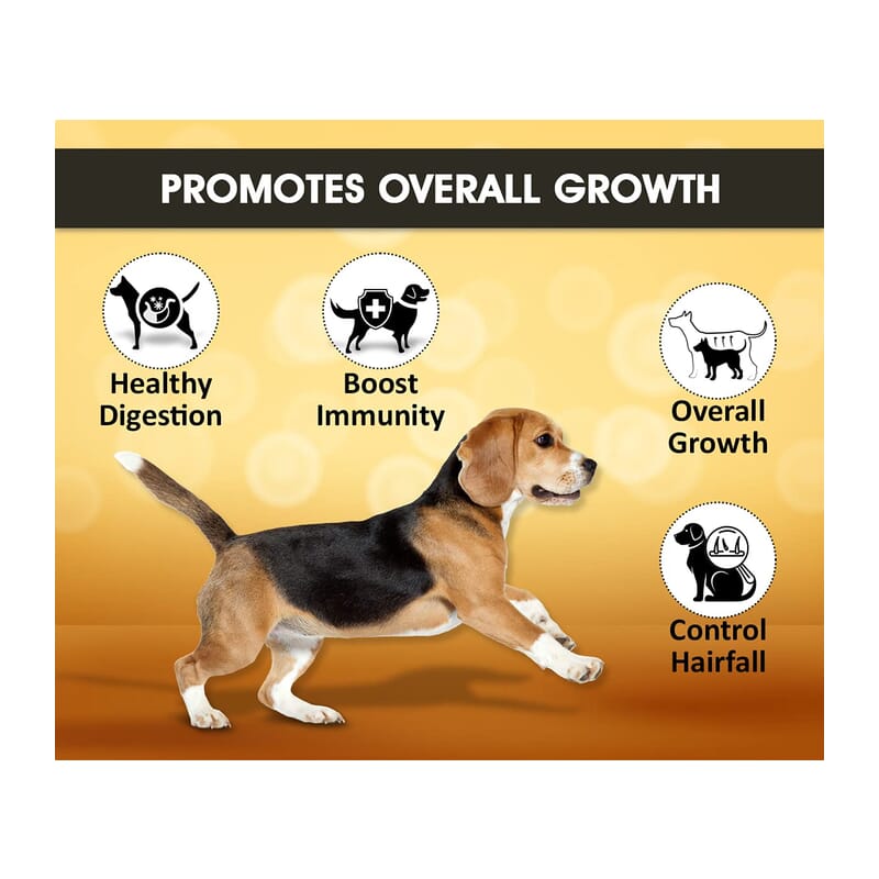 Boltz Chewable Multivitamin Tablets for Dogs, 60 Tablets - Wagr - The Smart Petcare Platform