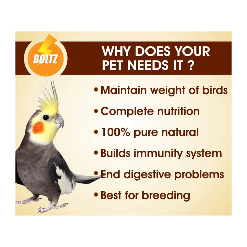 Boltz Cockatiel & Lovebirds Food 1.2kg - Wagr - The Smart Petcare Platform