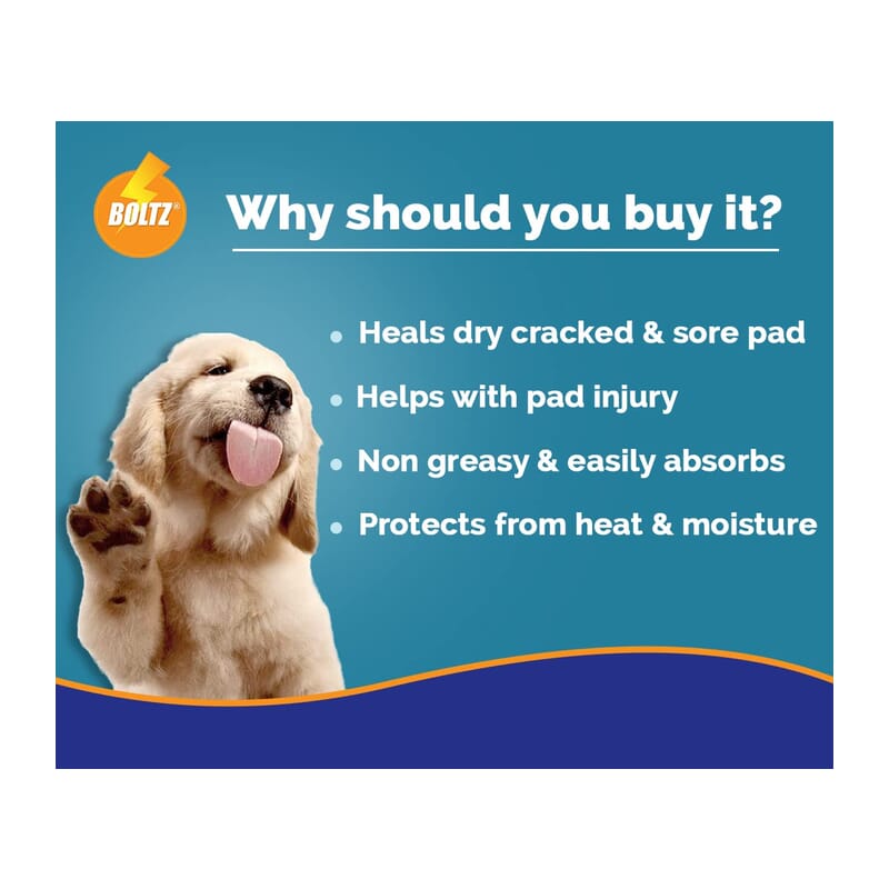 Boltz Dog Paw Cream for Cracked and Chapped Paws - Natural Moisturizer, Small, 100gram - Wagr - The Smart Petcare Platform