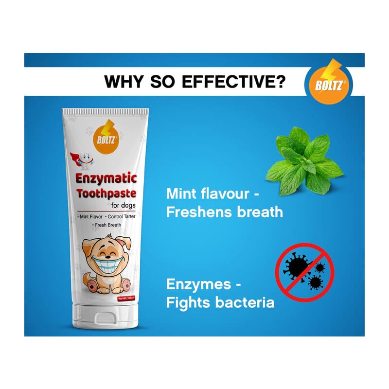 Boltz Enzymatic Toothpaste for Dogs 100gm & 3 Tooth Brush - Wagr - The Smart Petcare Platform