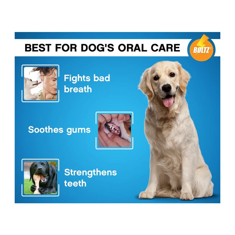 Boltz Enzymatic Toothpaste for Dogs 100gm & 3 Tooth Brush - Wagr - The Smart Petcare Platform