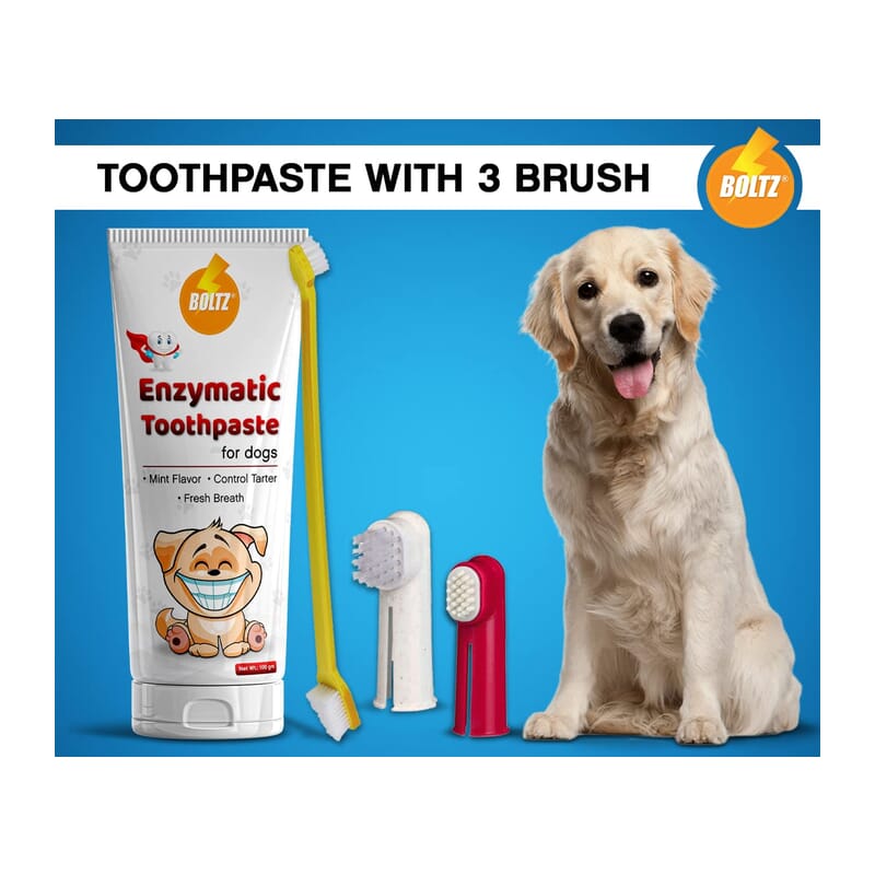 Boltz Enzymatic Toothpaste for Dogs 100gm & 3 Tooth Brush - Wagr - The Smart Petcare Platform