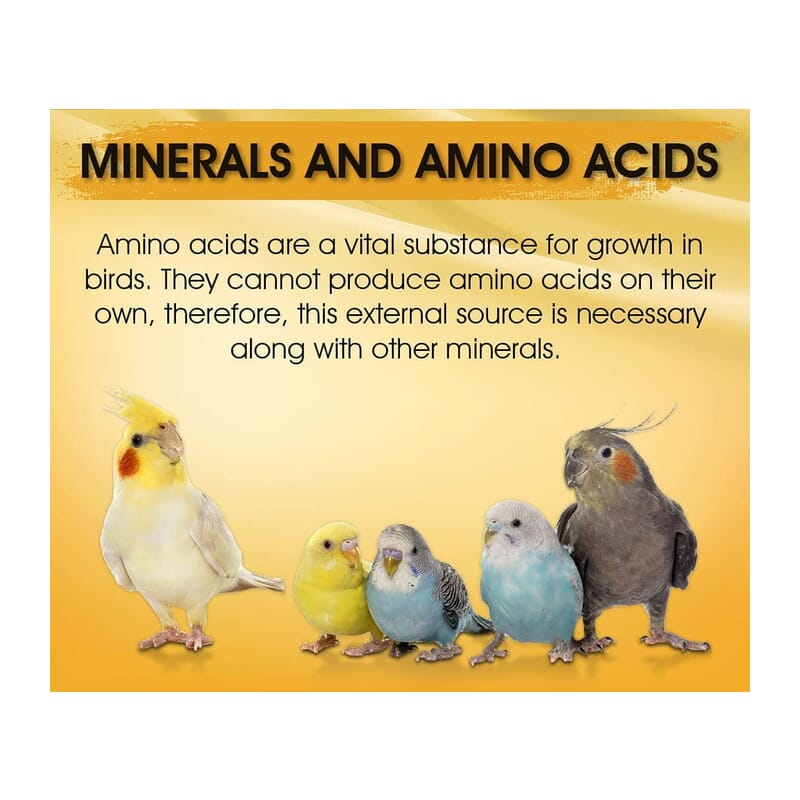 Boltz Immunity Boosters for All Birds - Wagr - The Smart Petcare Platform