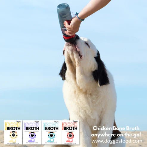 Doggos Instant Bone Broth - Chicken with Blueberries - Wagr Petcare
