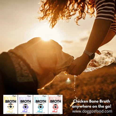 Doggos Instant Bone Broth - Chicken with Fish - Wagr Petcare