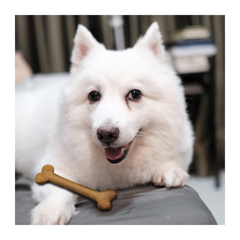 Fofos Bone Twins Woodplay Chew Toy - Wagr Petcare