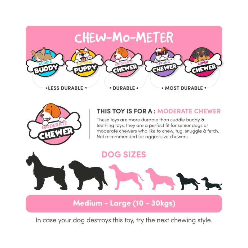 Fofos Brush Bone Woodplay Chew Toy - Wagr Petcare