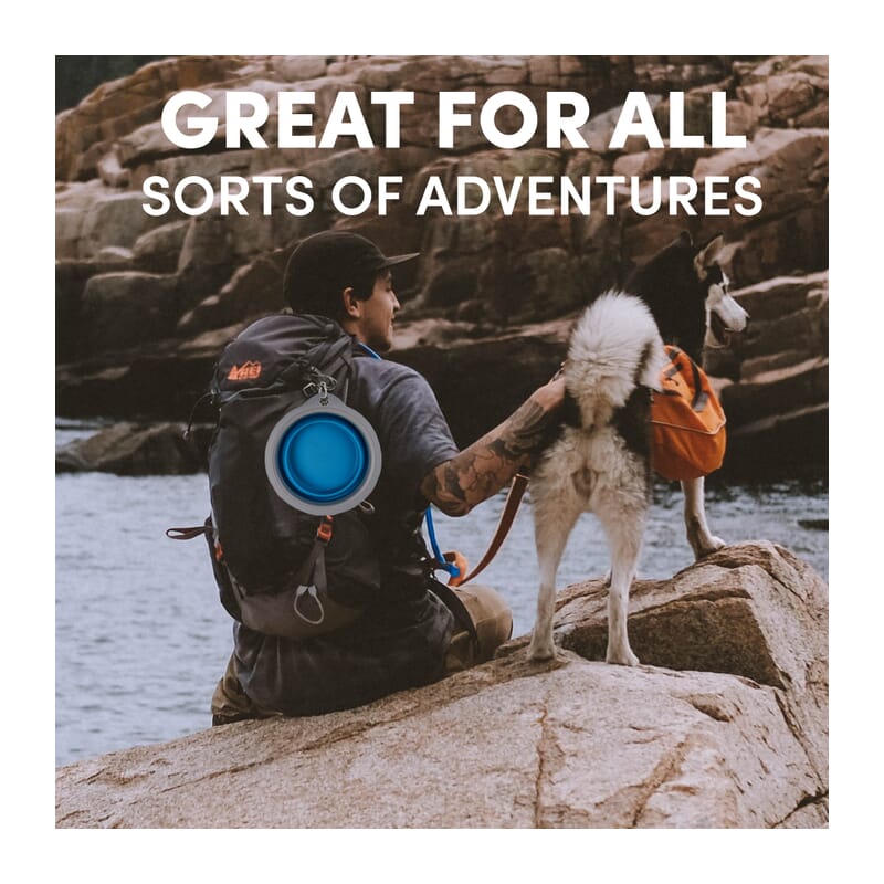 Fofos Collapsible Bowls for Pets, 500ml - Wagr Petcare