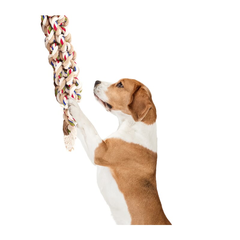 Fofos Flossy Rope Toy Braided Dog Toy - Wagr Petcare