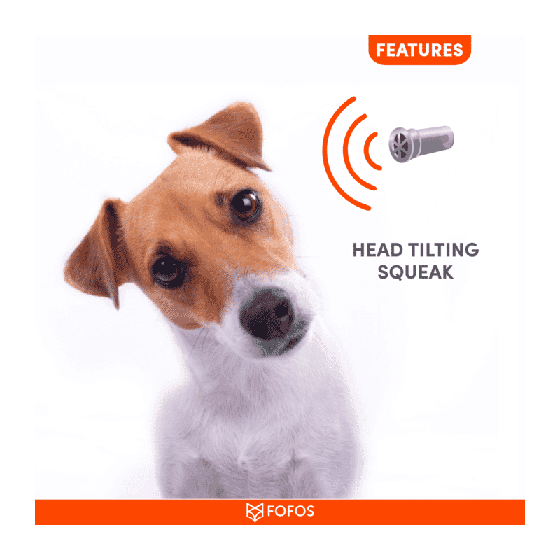 Fofos Latex Bi Dog for Small Dogs - Wagr Petcare