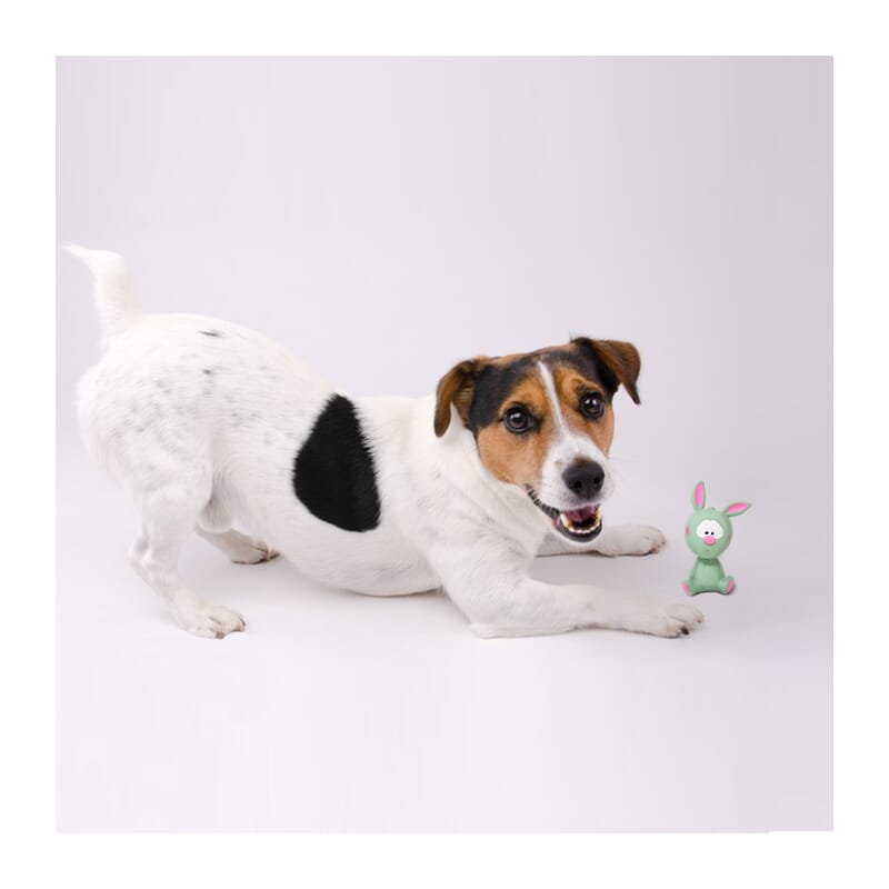 Fofos Latex Bi Toy Rabbit Small Dog Toy - Wagr Petcare