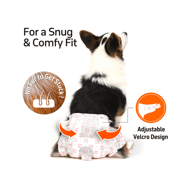 Fofos Pet Diaper Male Dog - Wagr Petcare