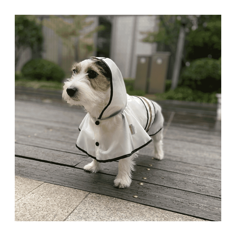 Fofos Pet Dog Raincoat - Wagr Petcare