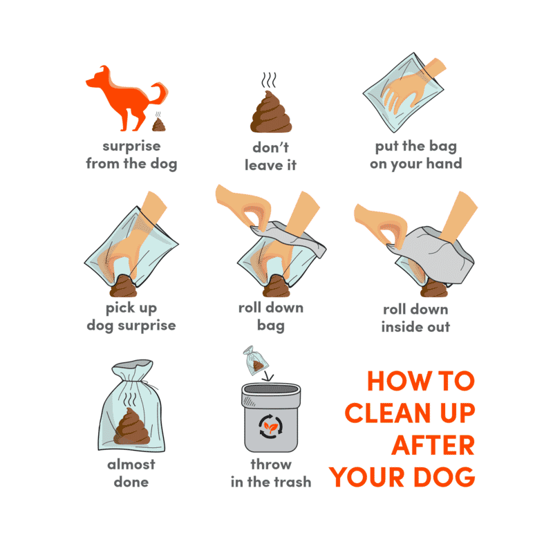 Fofos Poop Bag Refills 17 bags*8 rolls = 136 - Wagr Petcare