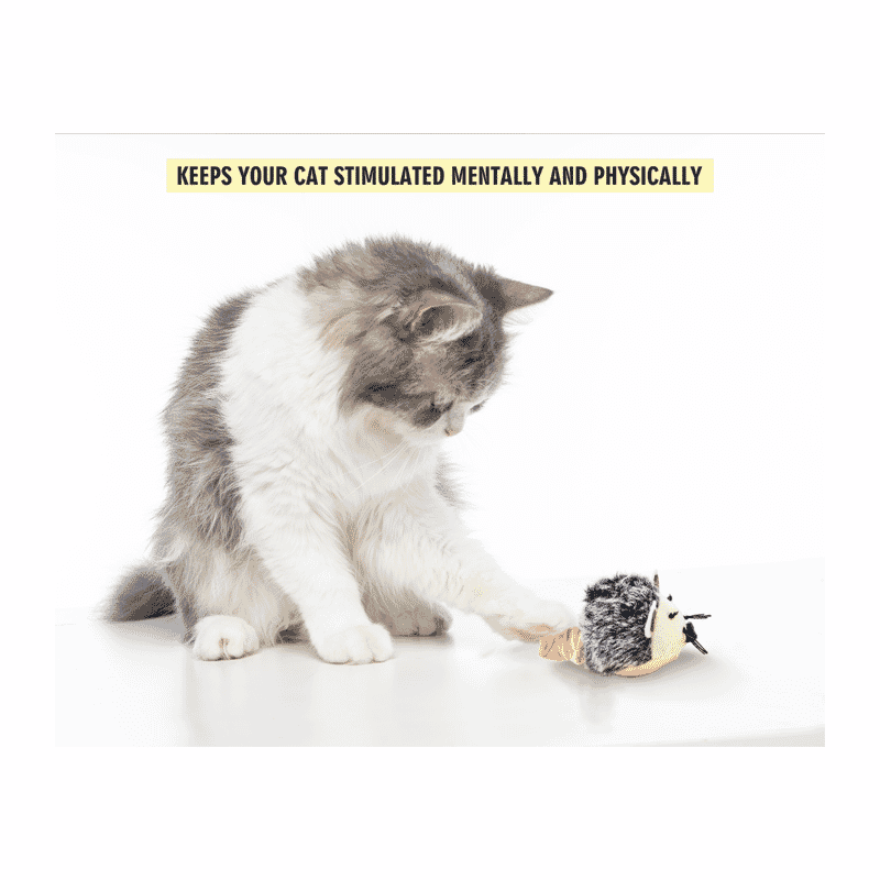 Fofos Pull String & Sound Chip Electronic Mouse Cat Toy - Wagr Petcare
