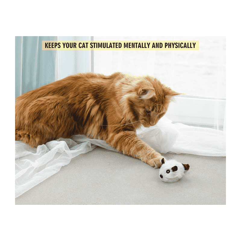 Fofos Pull String & Sound Chip Electronic Mouse Cat Toy - Wagr Petcare