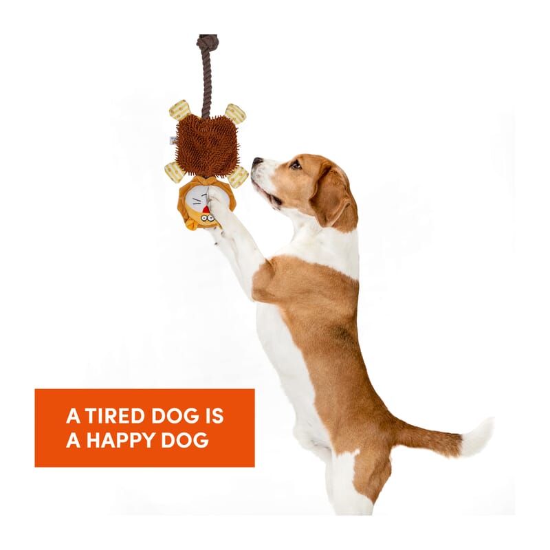 Fofos Puppy Rope Lion Dog Toy for Teething Puppies - Wagr Petcare