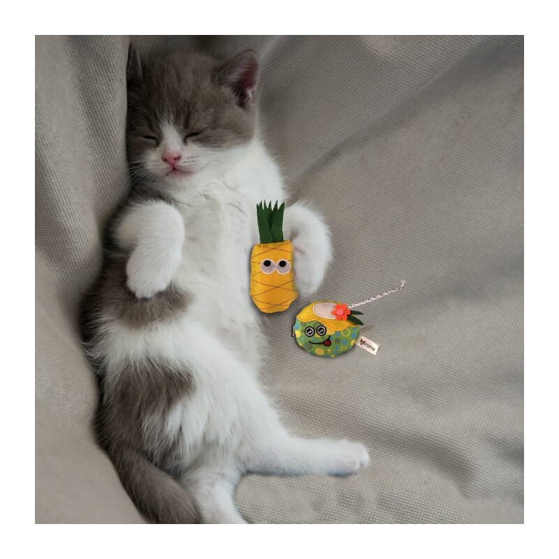 Fofos Summer Cat Toy - Juice with Pineapple - Wagr Petcare