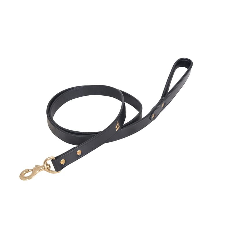 Forfurs Padded Leather Dog Leash - Wagr - The Smart Petcare Platform