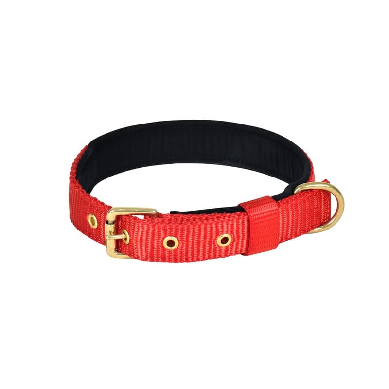 Forfurs Pin Buckle Dog Collar Neck Belt for Cats and Dogs - Wagr - The Smart Petcare Platform