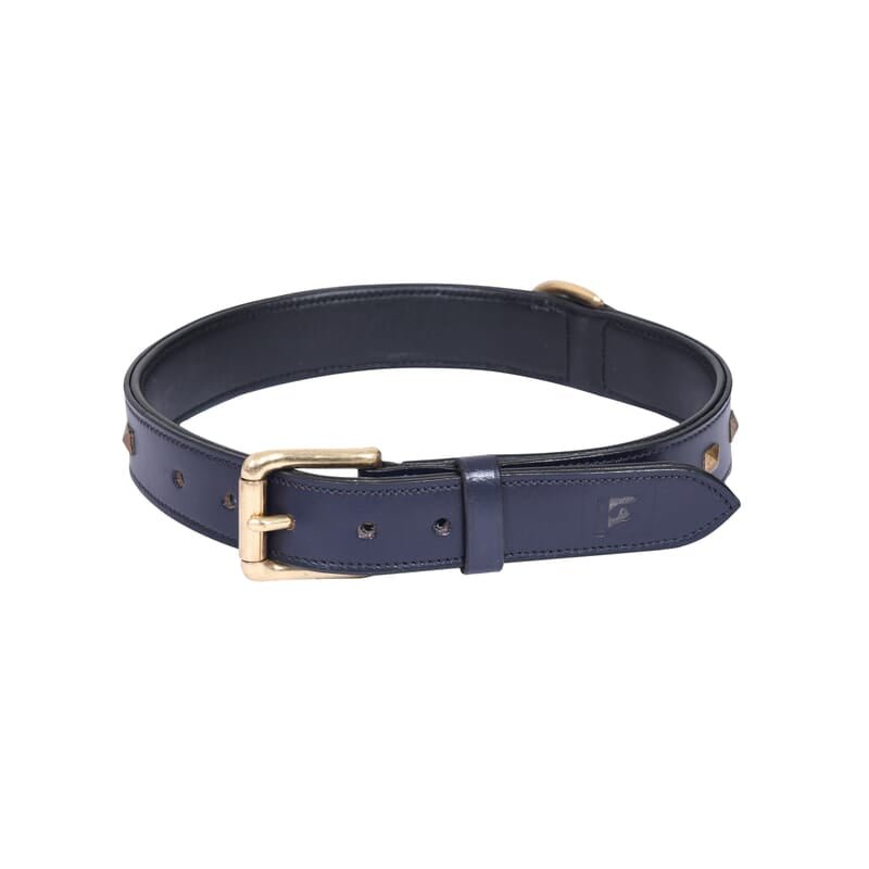 Forfurs Studded Leather Dog Collar - Wagr - The Smart Petcare Platform