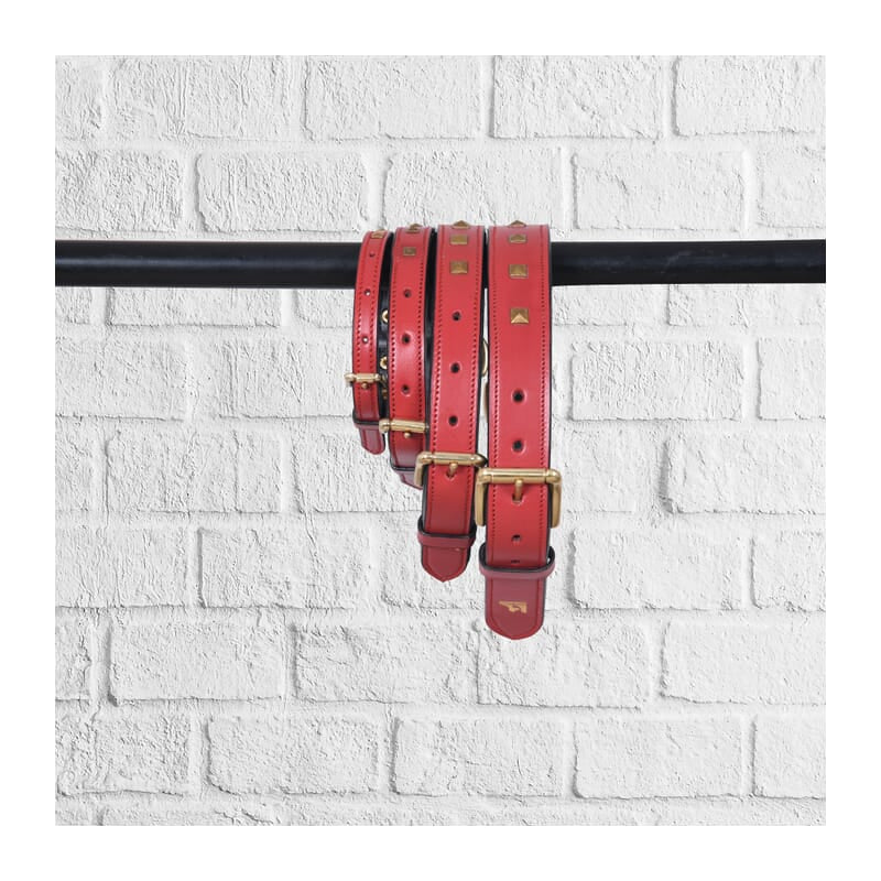 Forfurs Studded Leather Dog Collar - Wagr - The Smart Petcare Platform