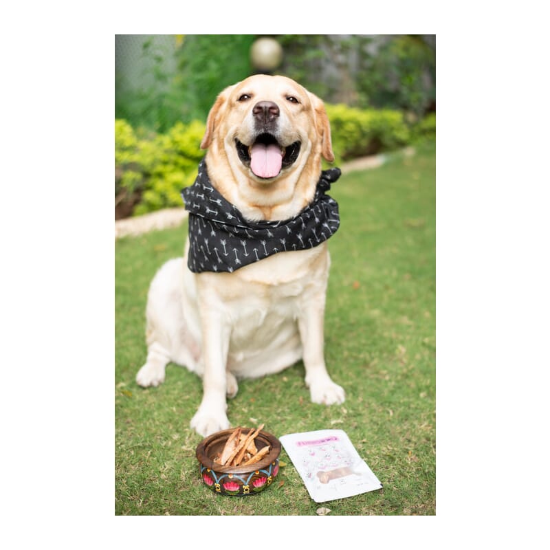 Furrsaan Chicken Jerky - 70gm - Wagr - The Smart Petcare Platform