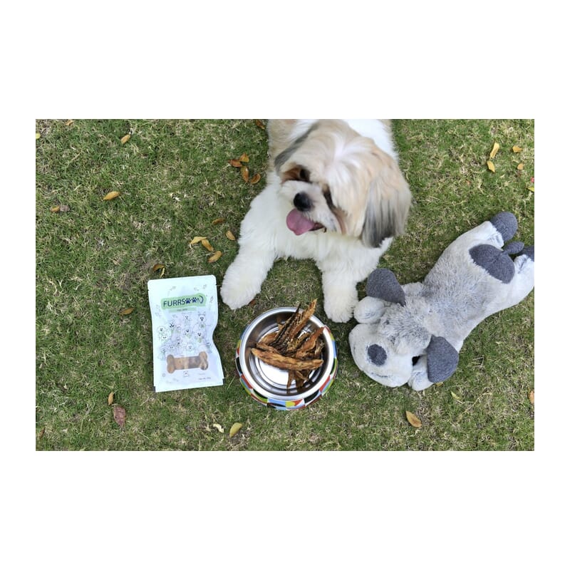 Furrsaan Fish Jerky - 50gm - Wagr - The Smart Petcare Platform