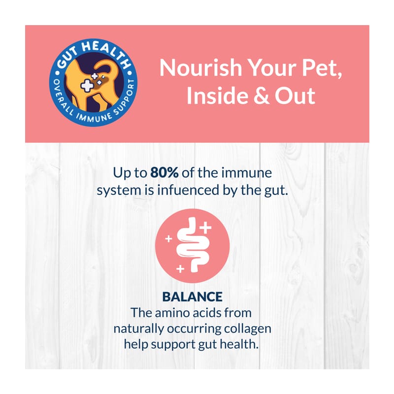 Goofy Sea Food Bone Broth for Dogs and Puppies 100ml (Pack of 3) - Wagr - The Smart Petcare Platform