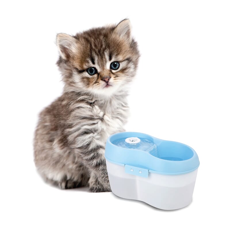 Goofy Tails 2 Litre Cat H2O Water Fountain - Wagr - The Smart Petcare Platform