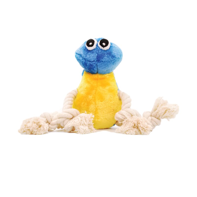 Goofy Tails Daffy The Bird Bottle Cruncher Rope Toy for Dogs - Wagr - The Smart Petcare Platform