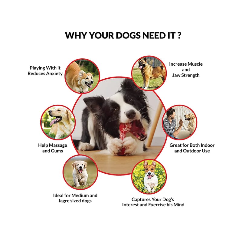 Goofy Tails Extreme Chew Bone Toy for Dogs - Wagr - The Smart Petcare Platform