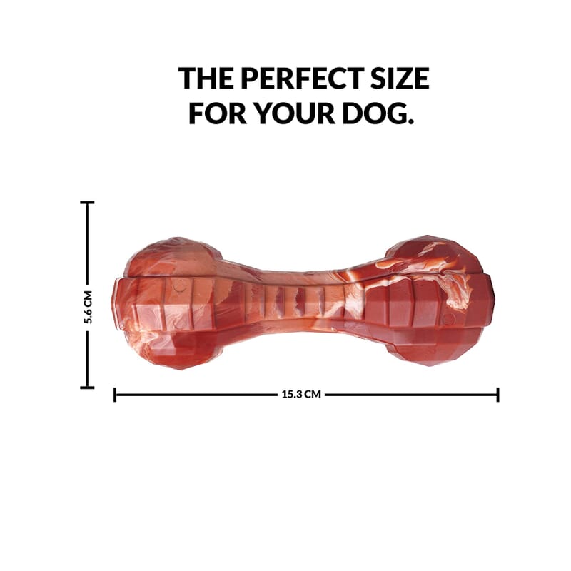 Goofy Tails Extreme Chew Bone Toy for Dogs - Wagr - The Smart Petcare Platform