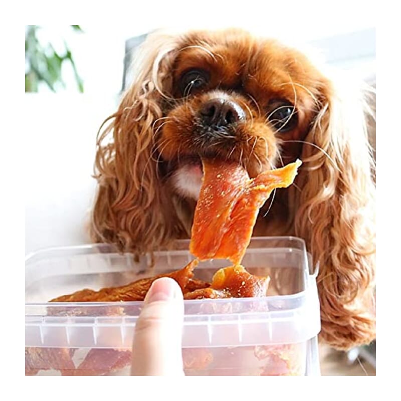 Goofy Tails Fish Jerky Dog Treats - Wagr - The Smart Petcare Platform