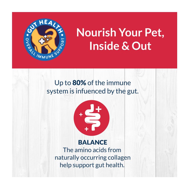 Goofy Tails Fresh Lamb Bone Broth for Dogs and Puppies - 100ml (Pack of 3) - Wagr - The Smart Petcare Platform