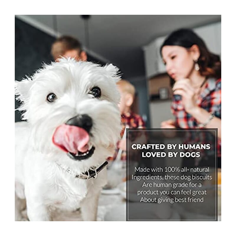 Goofy Tails Minty Fresh Milk and Mint Gluten Free Veg Biscuits - Wagr - The Smart Petcare Platform
