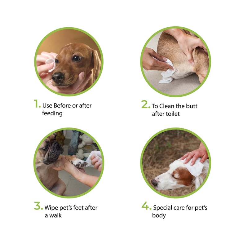 Goofy Tails Shampoo Pet Wipes for Dogs,Cats and Puppies (80 Wipes) - Wagr - The Smart Petcare Platform