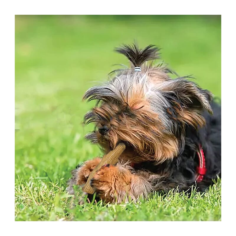 Goofy Tails Teething Chew Stick for Puppies - Wagr - The Smart Petcare Platform