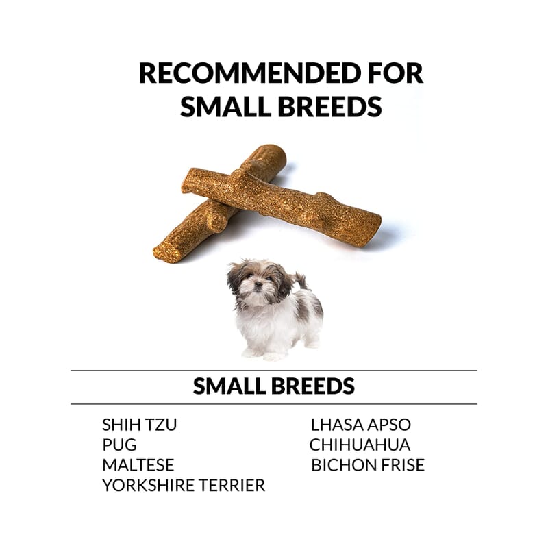 Goofy Tails Teething Chew Stick for Puppies - Wagr - The Smart Petcare Platform