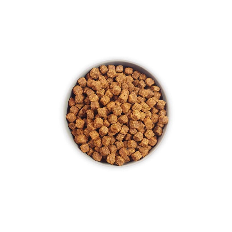 Heka Grain Free Turkey & Sweet Potatoes Dry Dog Food - Wagr Petcare
