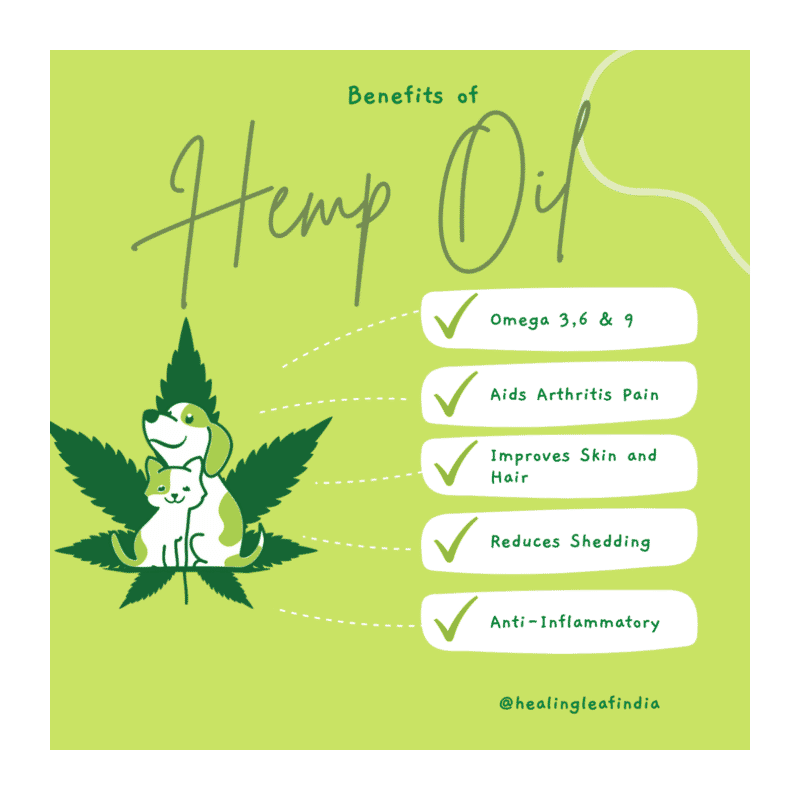 Hemp Oil for Pets by Healing Leaf - Wagr - The Smart Petcare Platform