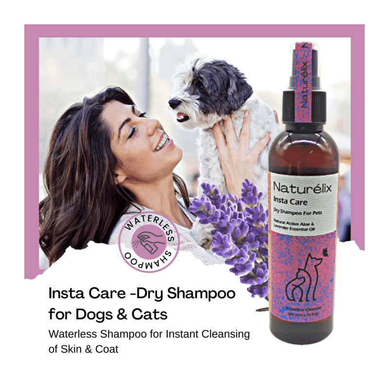 Naturelix Insta Care Dry Shampoo for Dogs - Waterless Dog Shampoo Cleanser, 200ml - Wagr - The Smart Petcare Platform